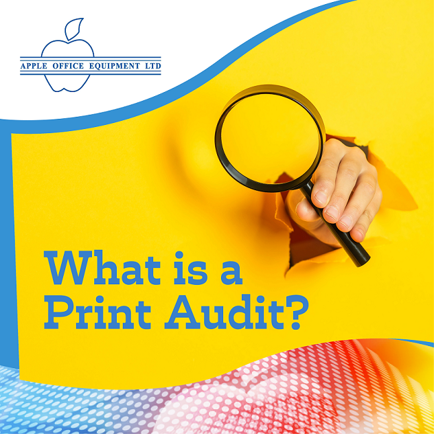 What is a Print Audit and why do you need one?